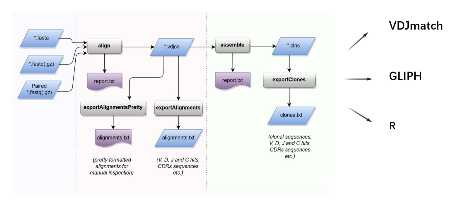 Nan Wang | Bioinformatics & Immunology