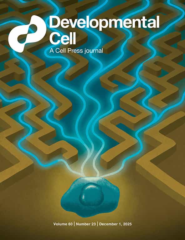 Nan Wang | Bioinformatics & Immunology